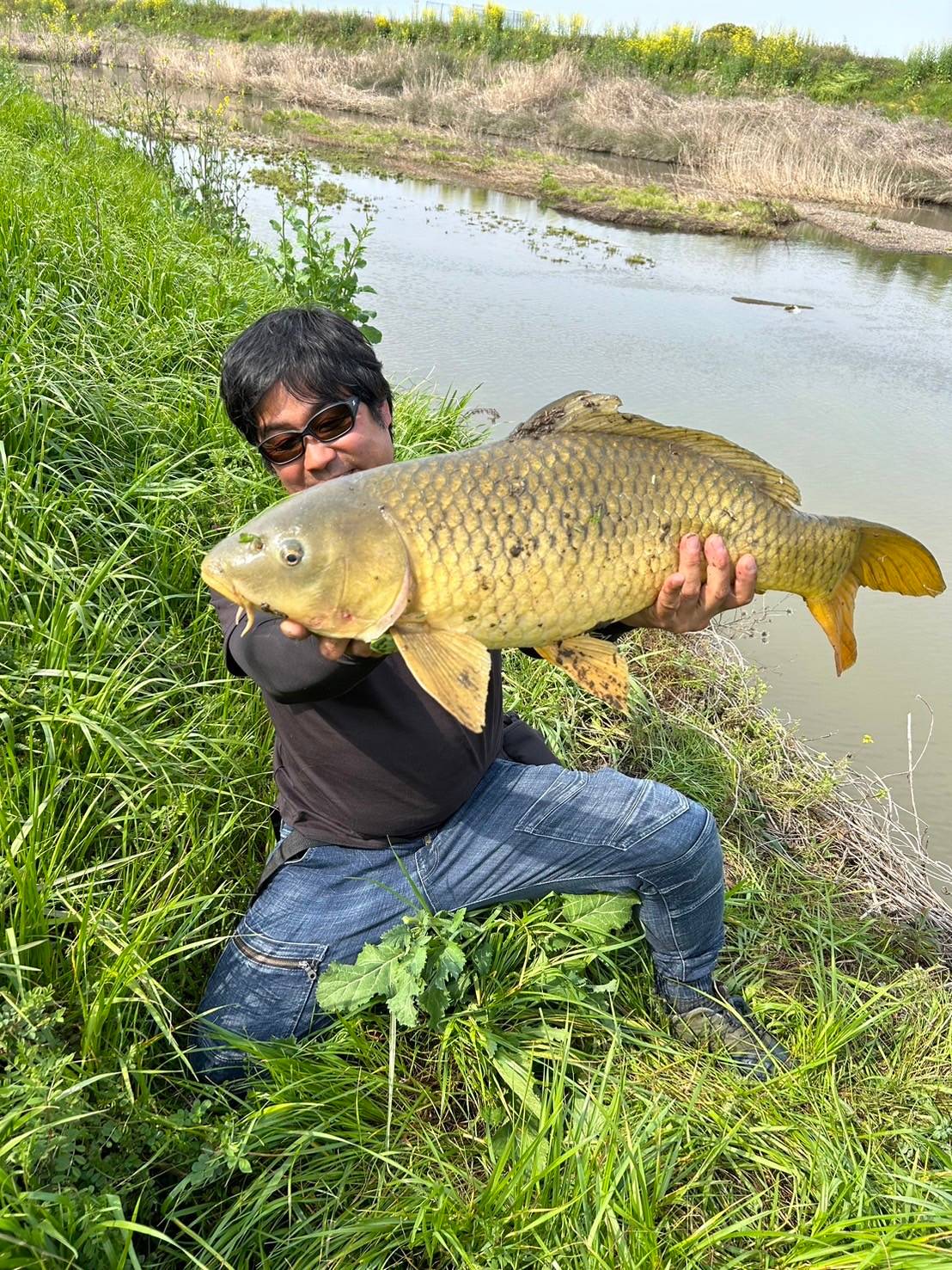 押し寄せる大鯉】手軽に楽しむカープフィッシングのススメ - Fishman