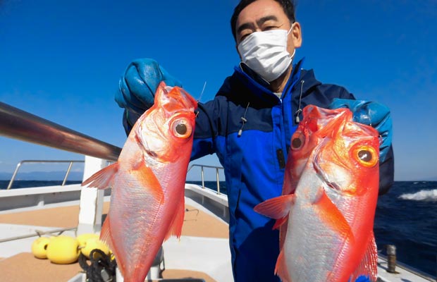 伊豆・新島沖のキンメダイ！ビギナーにも安心、お勧め！！ | 釣り