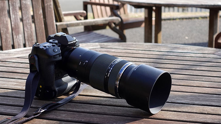 OLYMPUS OM-D E-M1X 実写レビュー | オリンパスの鳥認識AFをチェック！