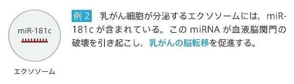 エクソソーム（Exosome）研究用製品特集 | フナコシ
