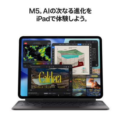 アップル iPad Pro M5チップ搭載 11インチ(標準ガラス搭載) Wi-Fi
