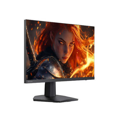 TVS REGZA ゲーミングモニター RM-G245R REGZA(レグザ) ［23.8型