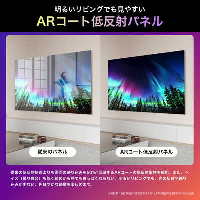 ハイセンス Mini LED液晶テレビ U9Nシリーズ [ 65V型 / Bluetooth対応