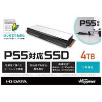IOデータ PS5対応 M.2 拡張SSD ヒートシンク付 2TB HNSSD2P5 の通販