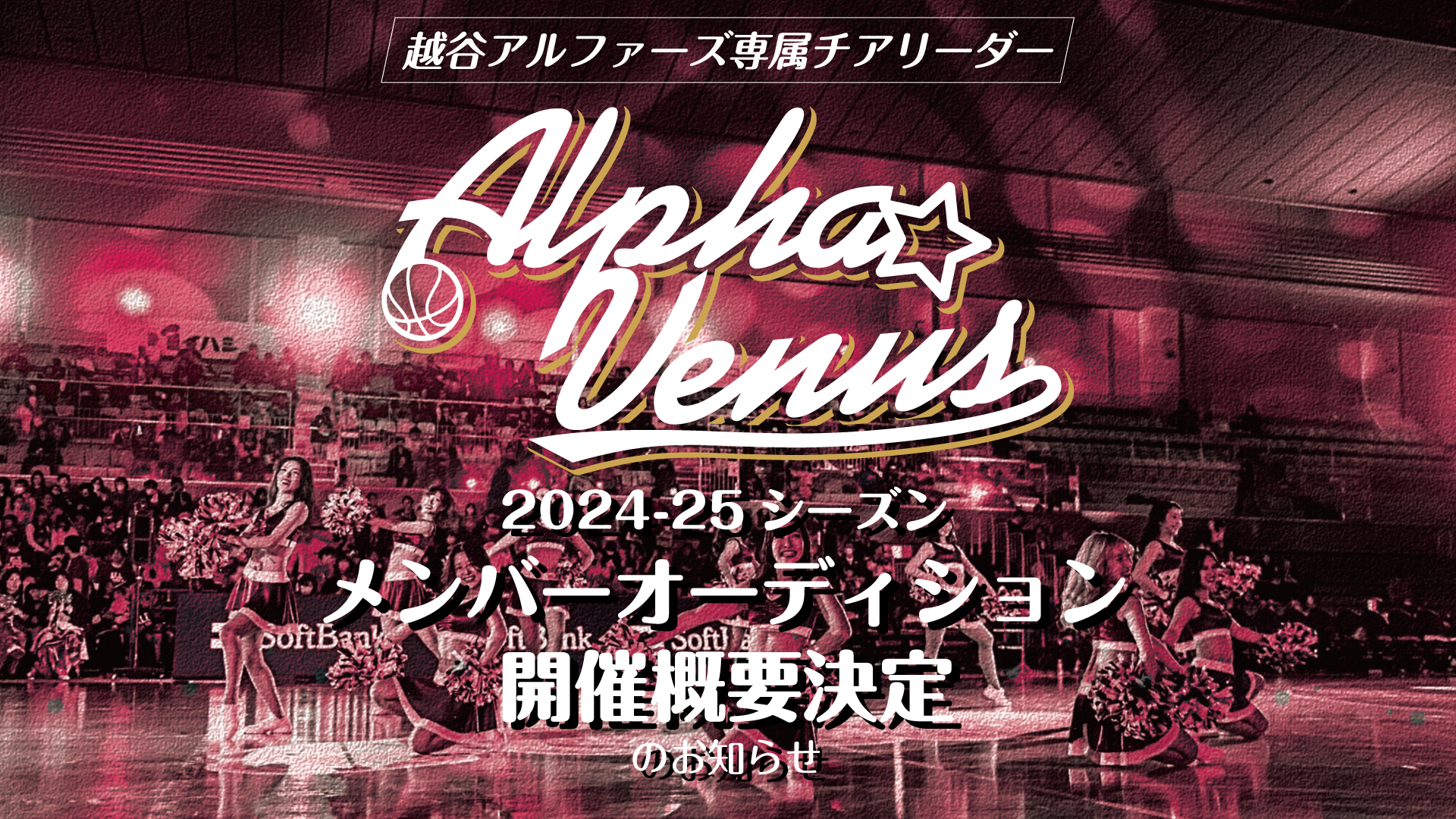 越谷アルファーズ専属チアリーダー“AlphaVenus” 2024-25シーズン