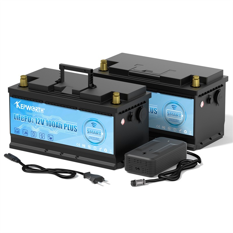 12V 100Ah LiFePO4 Lithium Iron Phosphate Battery Upgraded BMS 6000