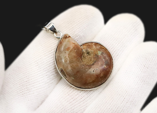 化石ファンのためにあしらわれた、個性的なジュエリー。マダガスカル産