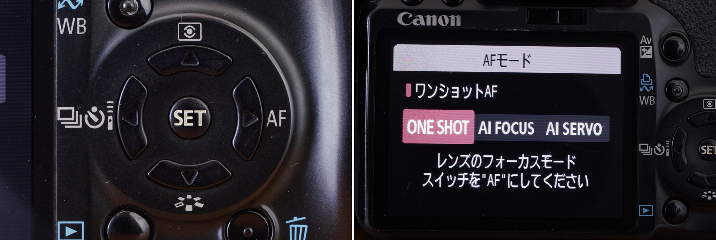 ネイチャースナップのすすめ｜格安中古で学ぶ一眼レフの基礎【ピント編