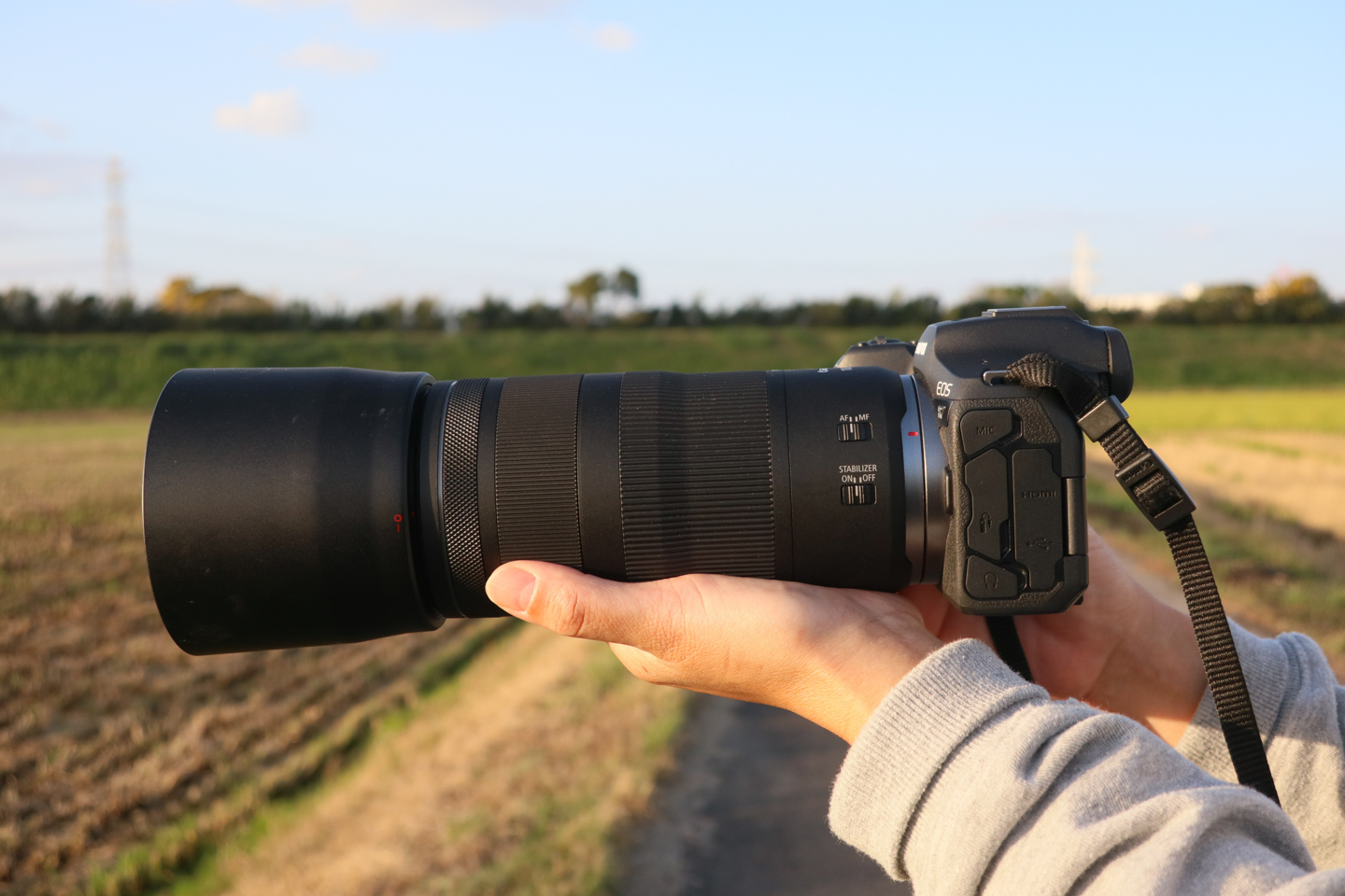 キヤノン RF100-400mm F5.6-8 IS USM レビュー｜野鳥写真ビギナー向け