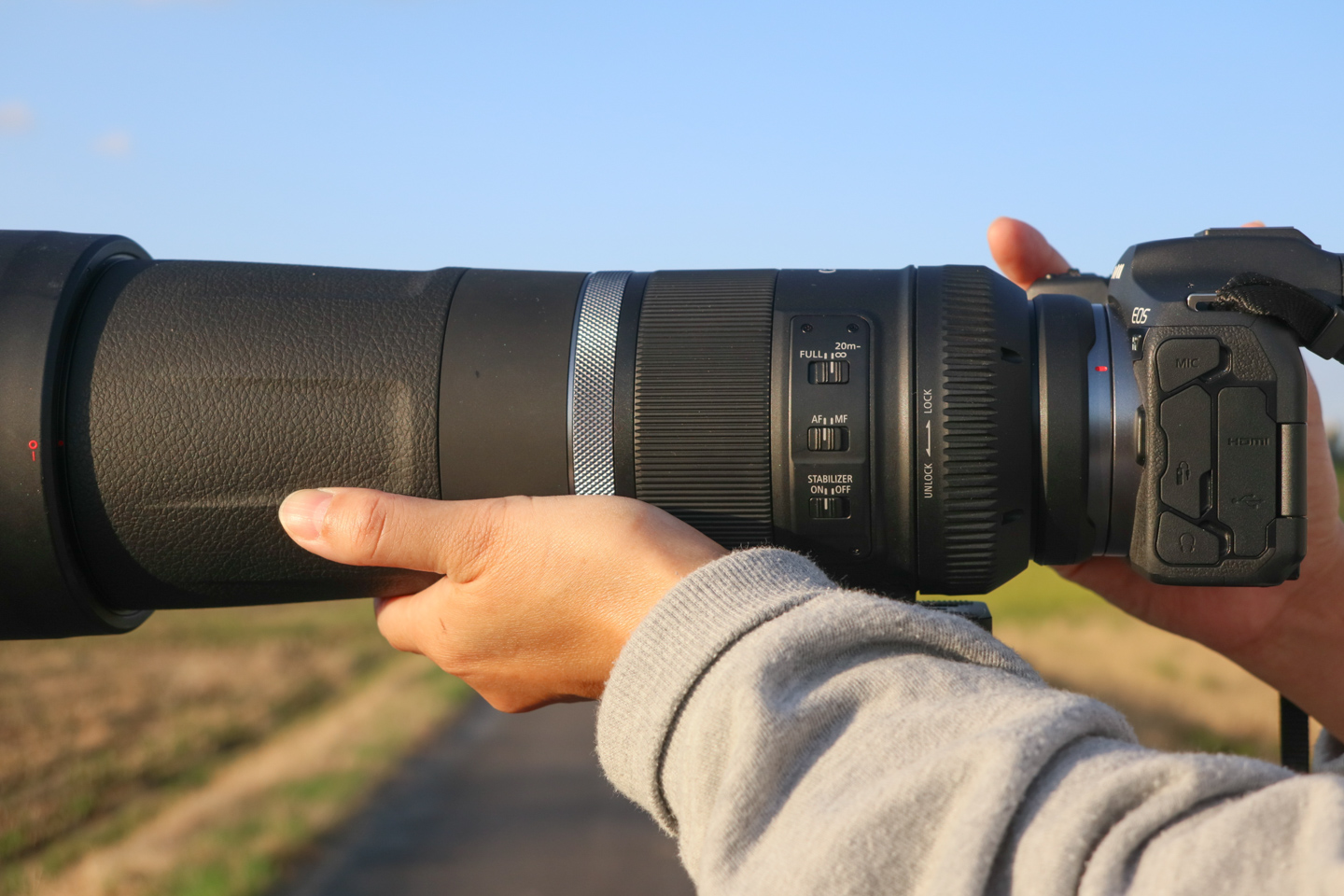 キヤノン RF600mm F11＆RF800mm F11 レビュー｜野鳥撮影に最適なお手軽