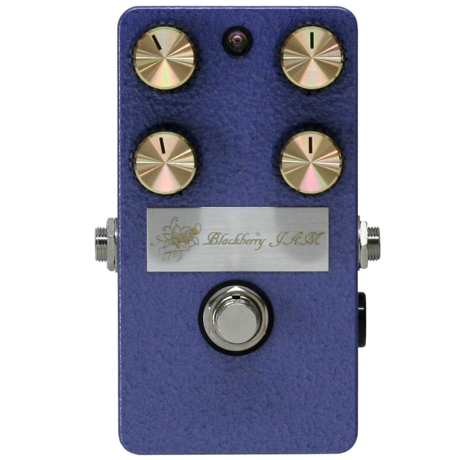 Blackcurrant | キクタニミュージック