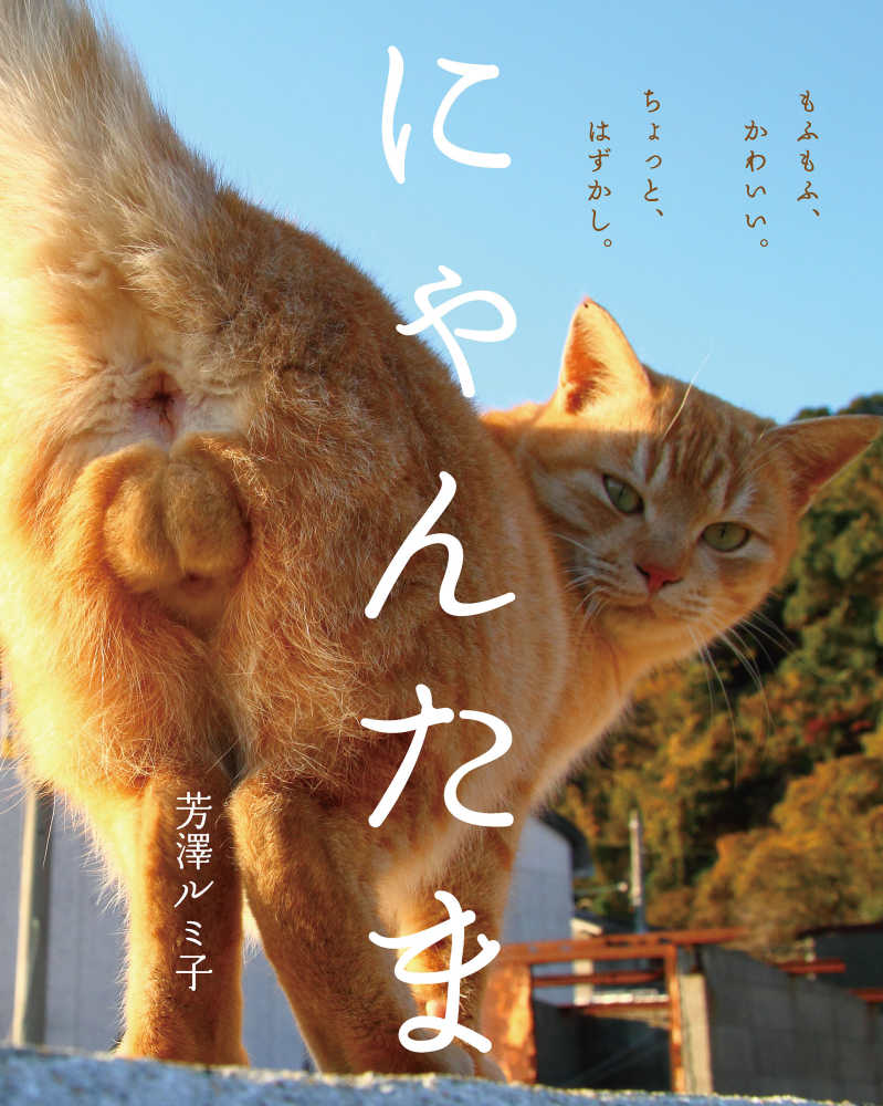 にゃんたま / 芳澤 ルミ子【写真】 - 紀伊國屋書店ウェブストア
