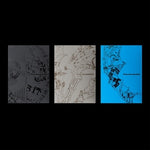 ENHYPEN - [THE SIN : VANISH] 7th Mini Album 3 Version SET