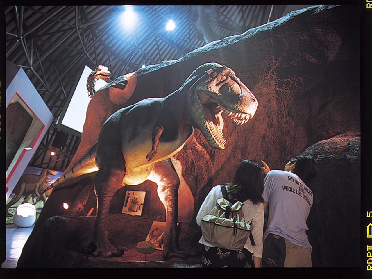 白山恐竜パーク白峰｜スポット｜【公式】石川県の観光/旅行サイト