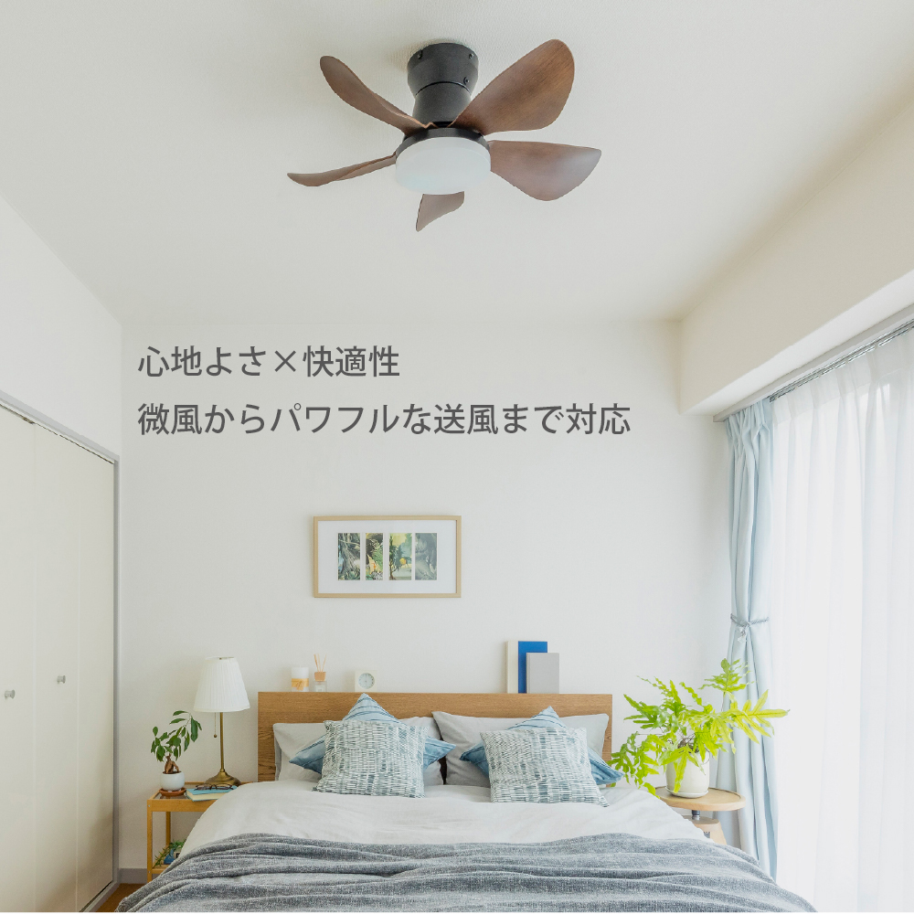 SXZF-06863KRCSG | 製品詳細