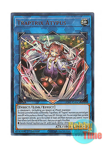 英語版 SDBT-EN043 Traptrix Atypus アティプスの蟲惑魔 (ウルトラレア