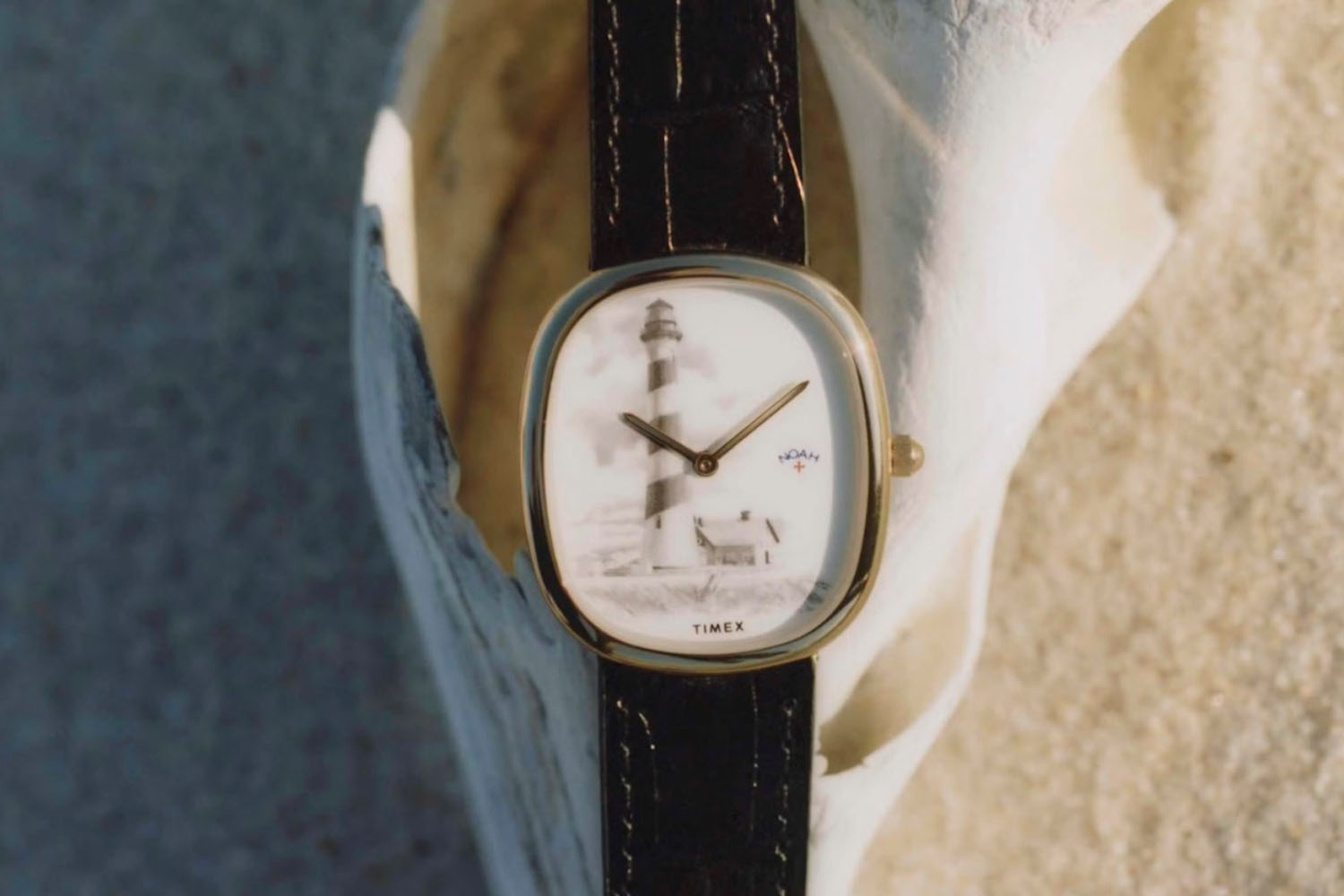 Noah x Timex Turns Back the Clock With Summer-Ready Collab