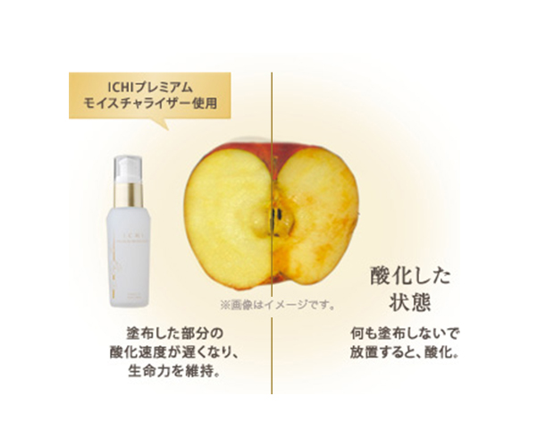 ICHI プレミアムモイスチャライザー｜商品情報｜ICHI化粧品 - 日本の食