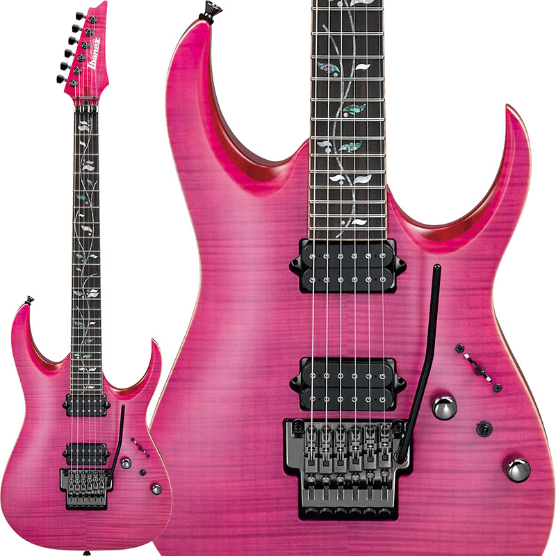 Ibanez】j.customシリーズのアーチド・トップ・ボディモデル「RGA8420