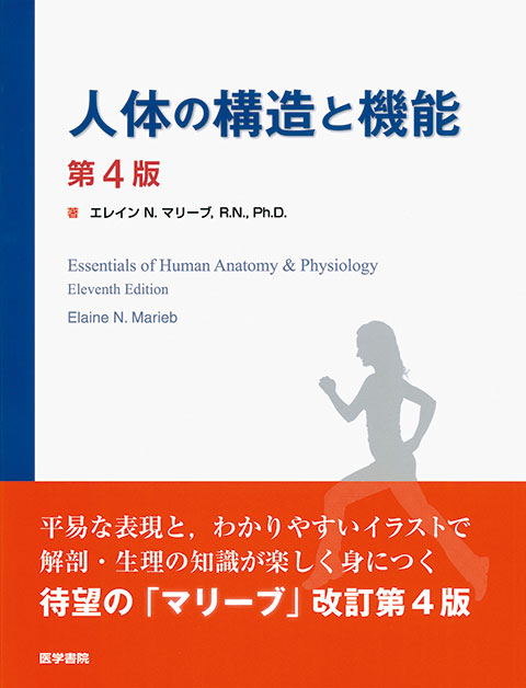 人体の構造と機能 第4版 | 書籍詳細 | 書籍 | 医学書院