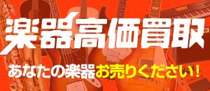 Lovepedal / DL-1 Delay | イシバシ楽器スタッフブログ