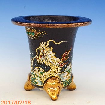 山野草の石田精華園 / 万年青錦鉢(長生蘭錦鉢)