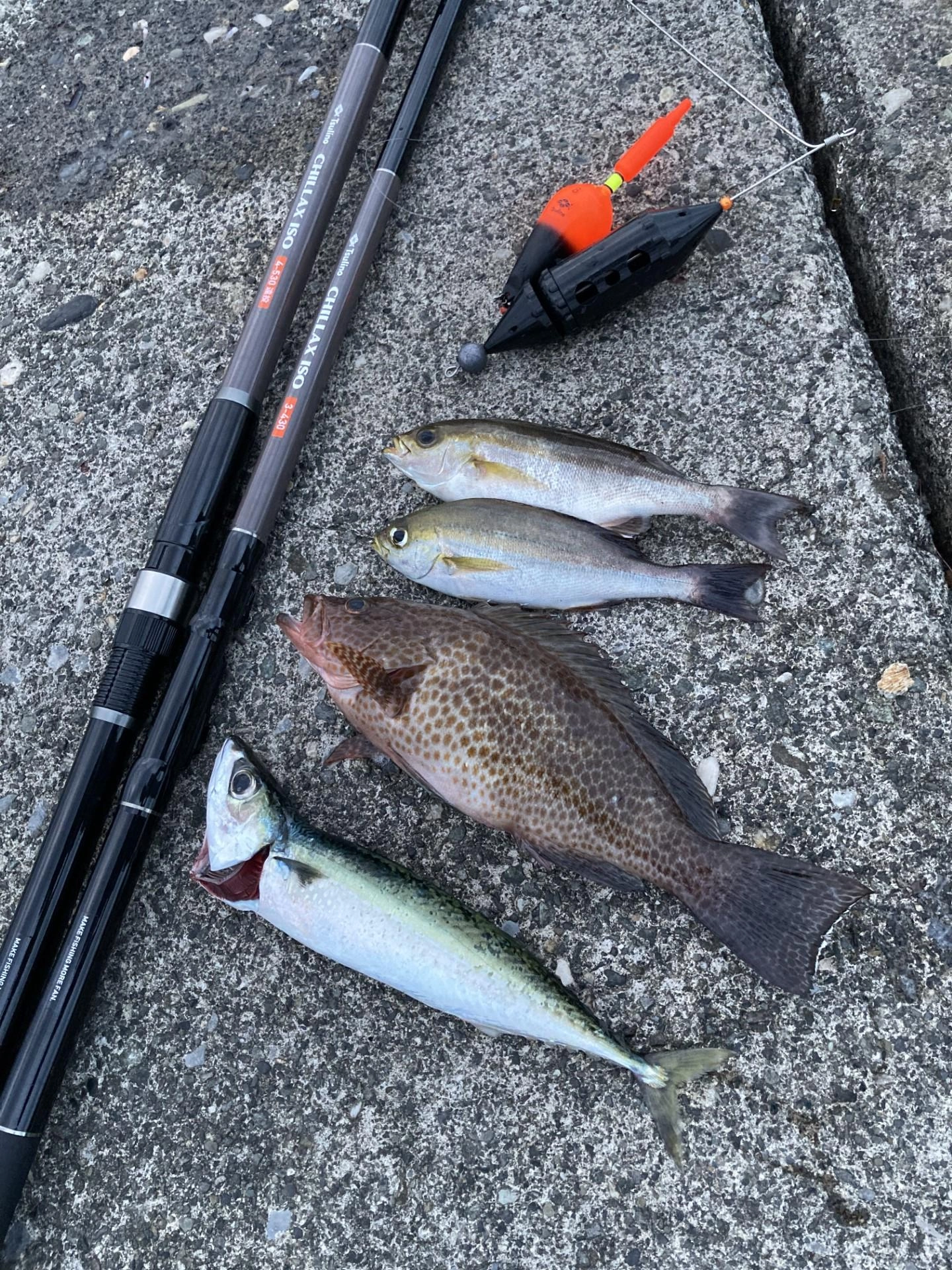 沼津堤防にて遠投カゴ釣りやってきました！ | 釣具のイシグロ | 釣り