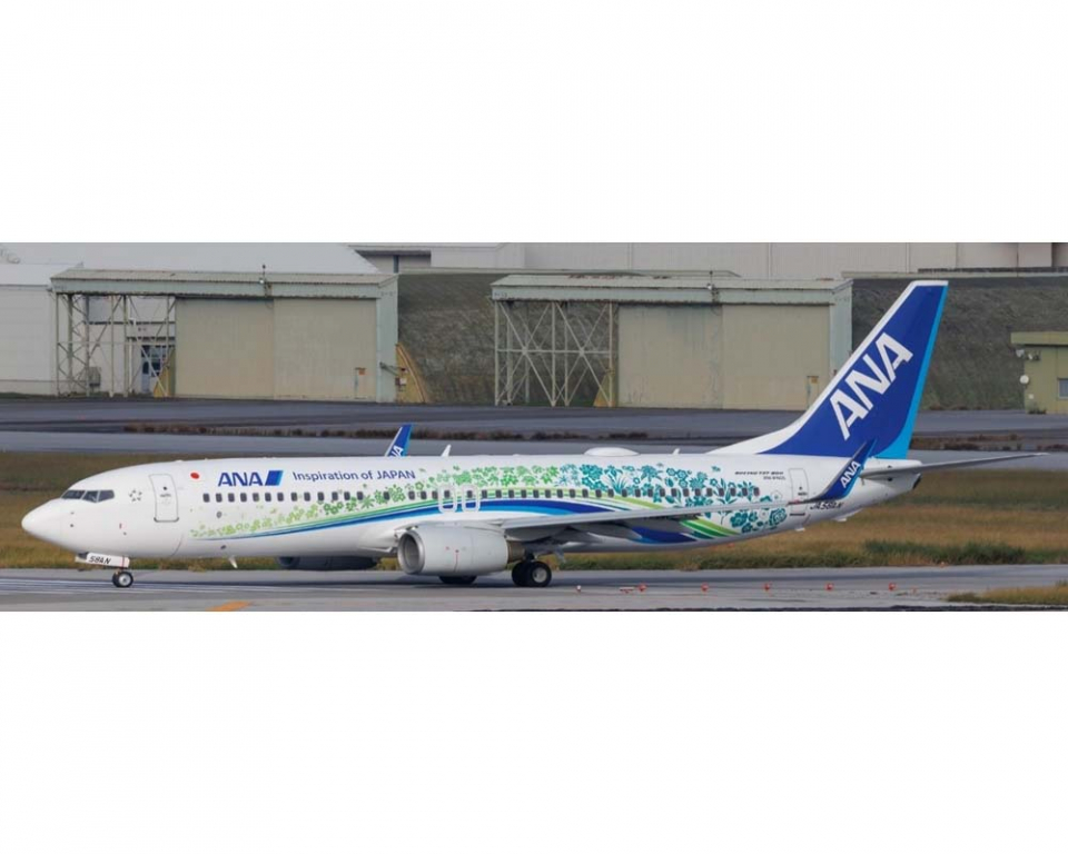 www.JetCollector.com: ANA - All Nippon B737-800 Furusato Jet