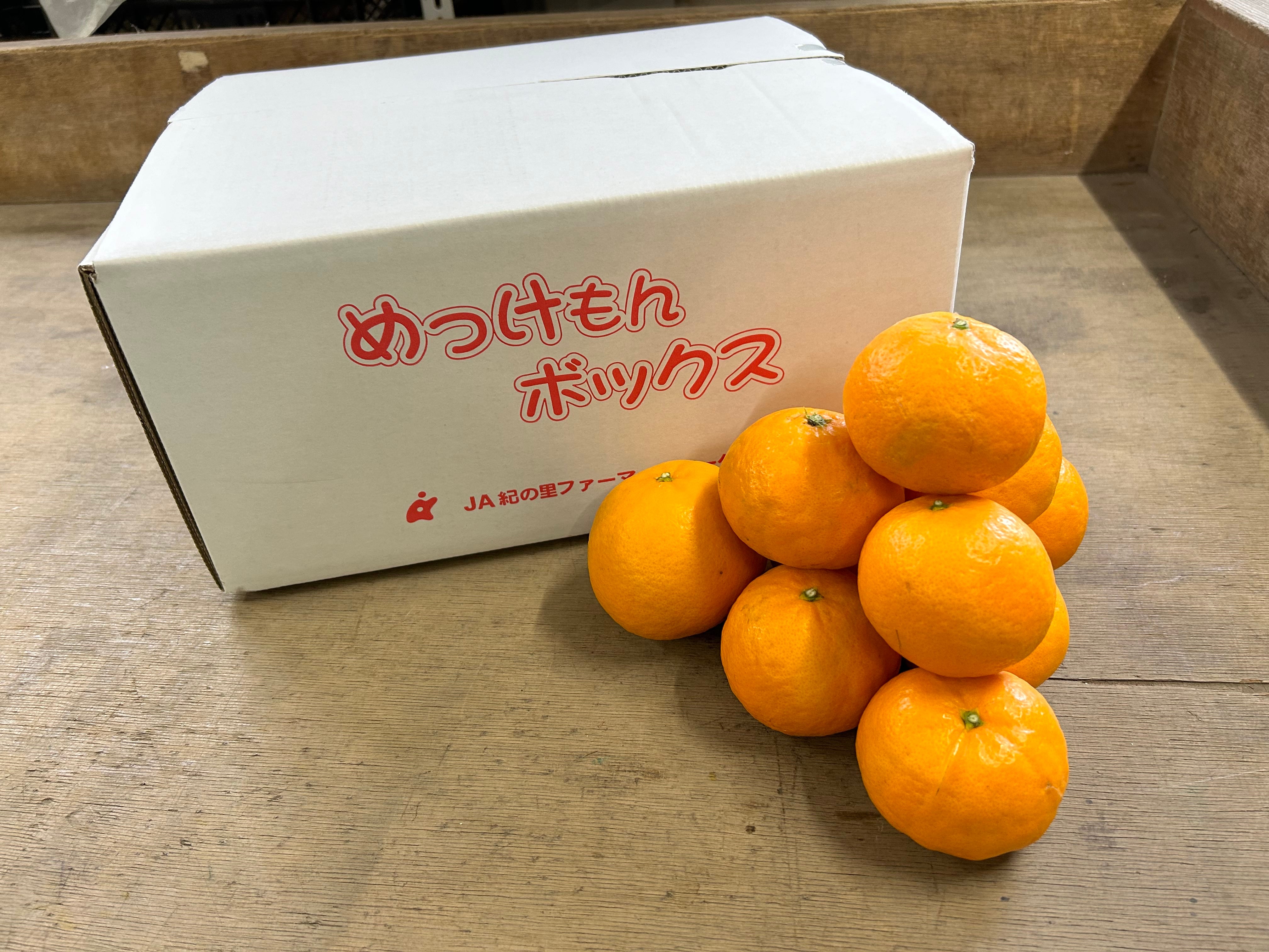 ご自宅用・ご家庭用】はれひめ サイズ不選別 S～2L 10kg【めっけもん