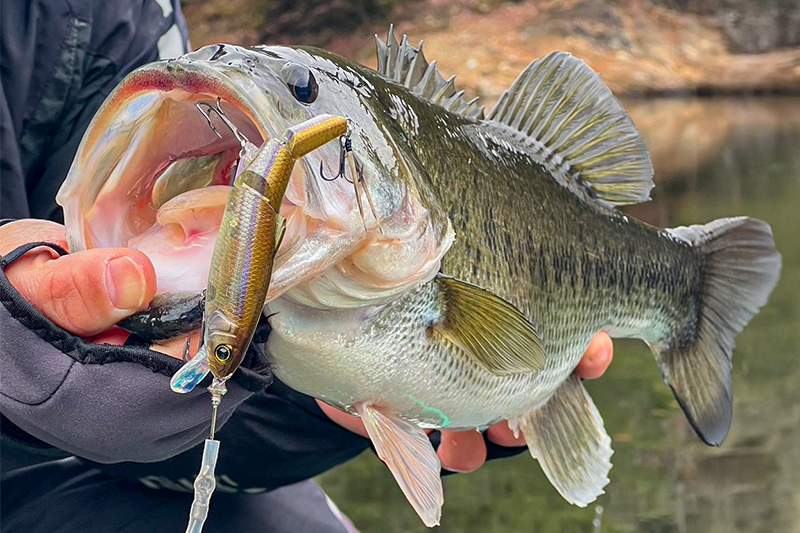 真冬の津風呂湖攻略！ラスターブレード185で爆釣/斉広峰 - FRESH WATER