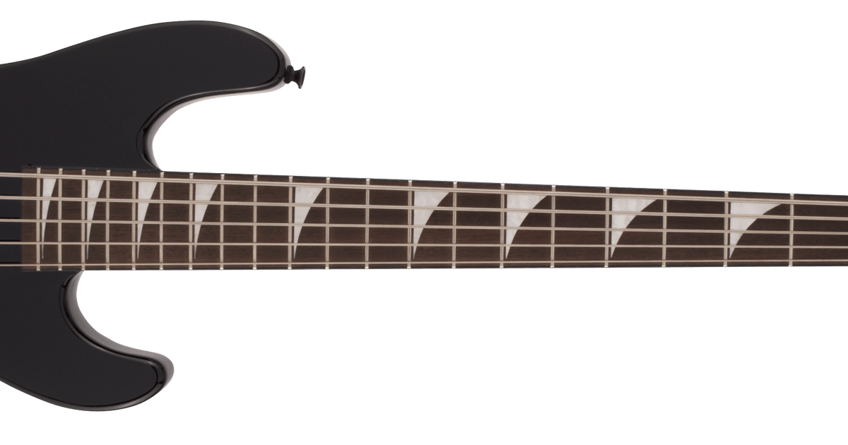 X Series Signature David Ellefson 30th Anniversary Concert™ Bass