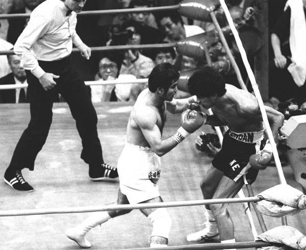 浜田剛史WBC世界ジュニアウエルター級…：「世界」を獲ったボクサー