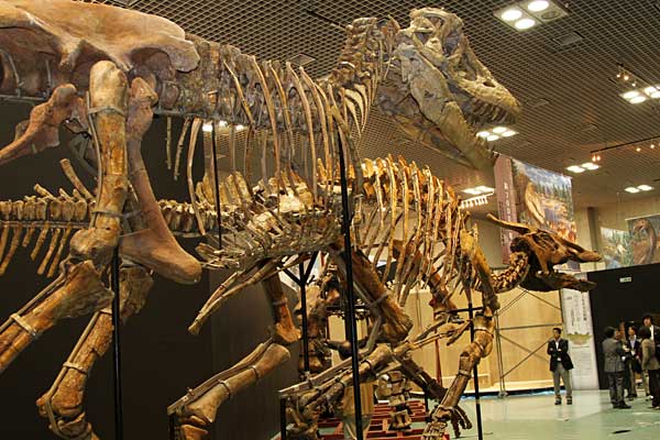 モンゴルのゴビ砂漠で発掘された恐竜の化…：大恐竜展－ゴビ砂漠の驚異