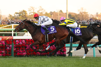 2023年 有馬記念 JRA