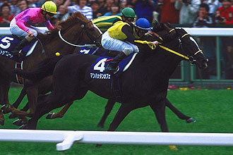 JRAホームページ｜データファイル｜競走成績データ