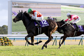 2024年 阪神ジュベナイルフィリーズ JRA