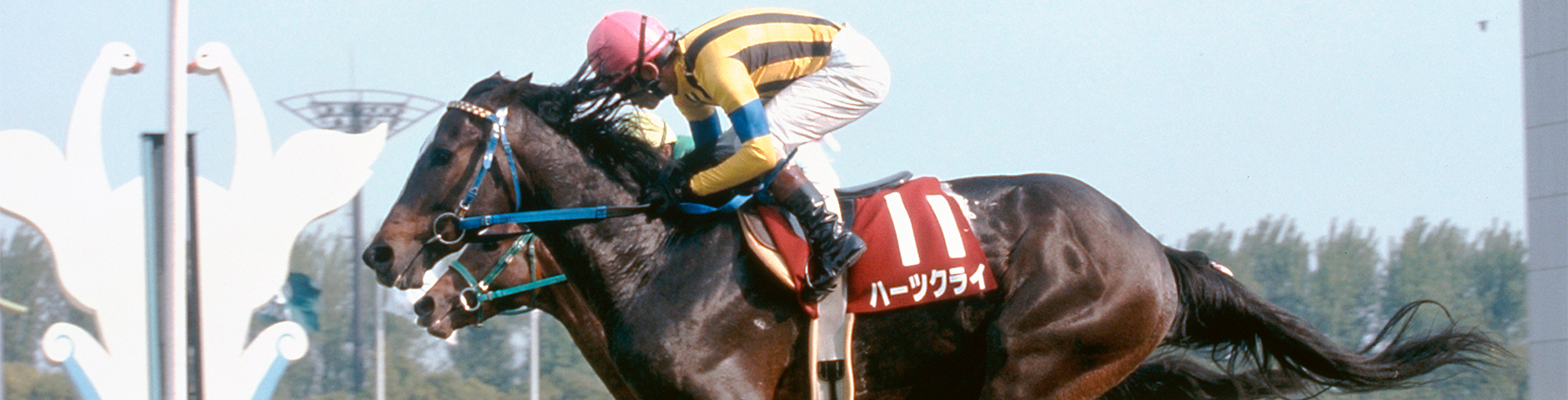 ハーツクライ｜3分でわかった気になる名馬 JRA