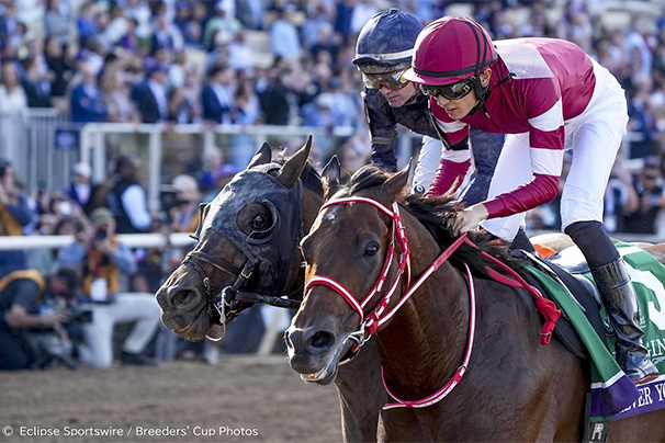 レース結果：2025年ブリーダーズカップクラシック 海外競馬発売 JRA