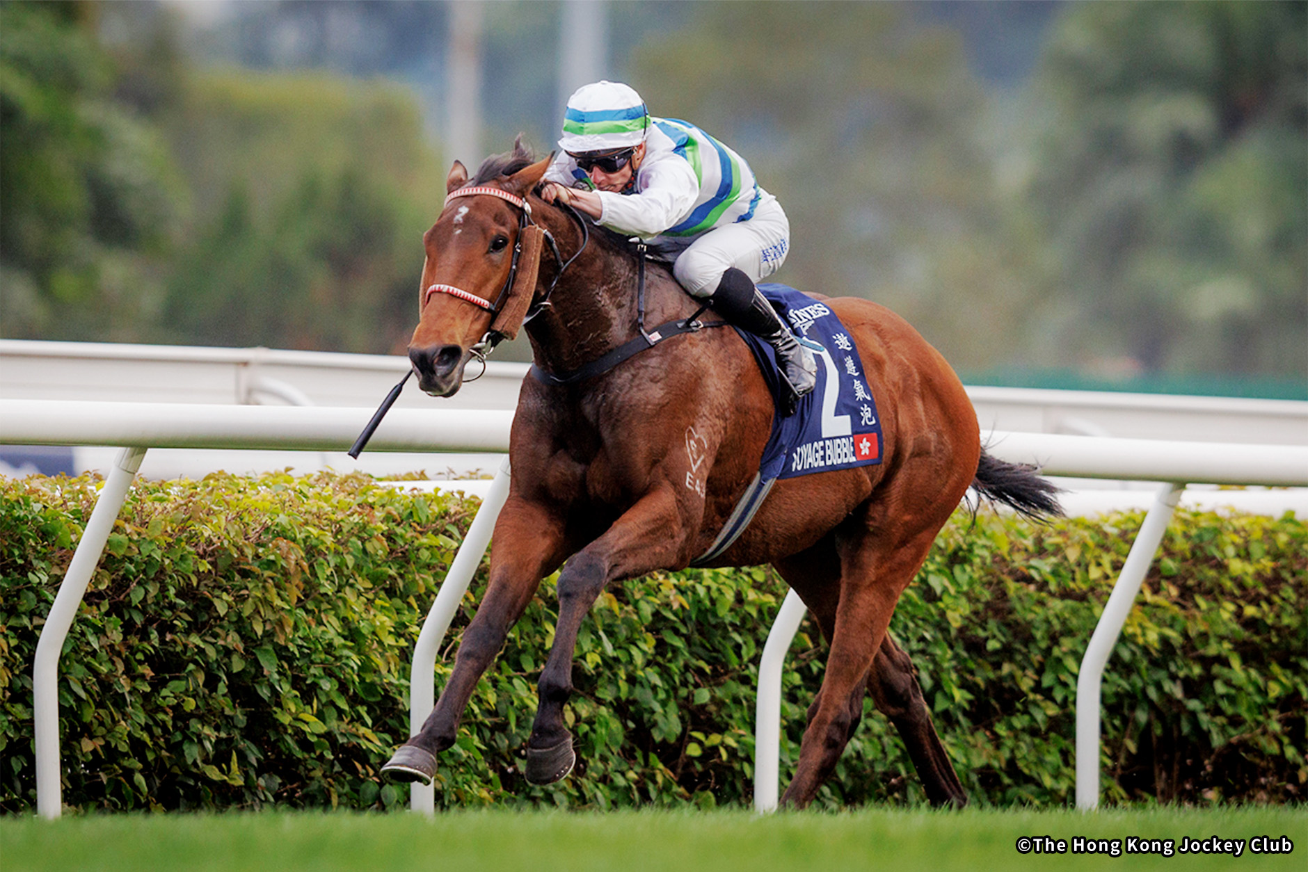 レース概要｜レース情報：2025年香港マイル 海外競馬発売 JRA