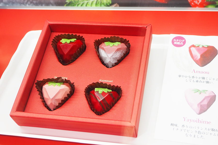 新品 Heart Dragon 赤×ピンク バレンタイン限定 ♡ Heart Dragon