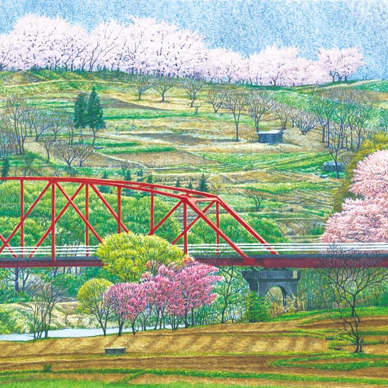 D44061｜リリカラ デジタル・デコ 2025-｜カタログ紹介：壁紙