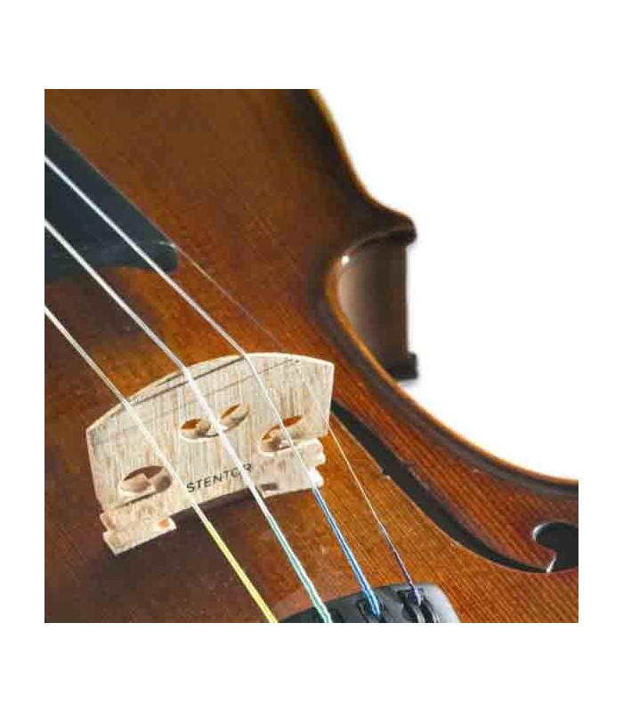 violin-stentor-student-ii-44-