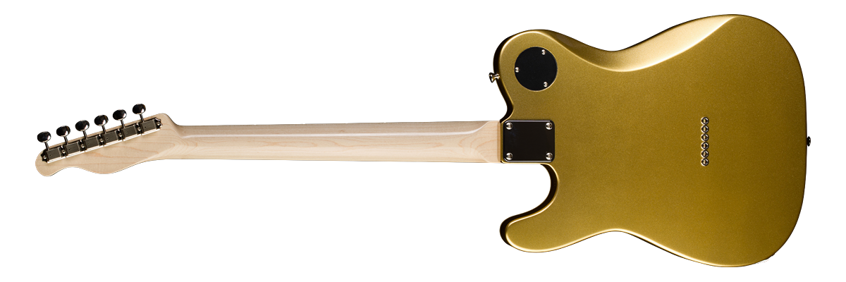 RM-DX COCO MODEL - COCOモデル | GUITAR | MOON GUITARS - 国産の