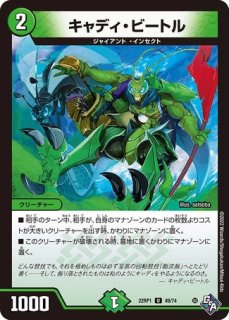 轟く覚醒レッドゾーンバスター/蒼き覚醒ドギラゴンX/【光文明