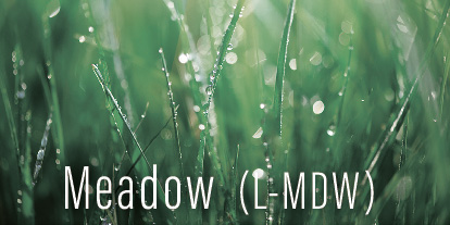 sheertne COLOR CHART | ミアンビューティー（三口産業株式会社）