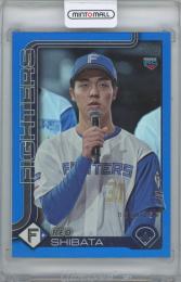 ミントモール / MINT 横浜店 / 2025 TOPPS NPB #140 / 柴田獅子(北海道