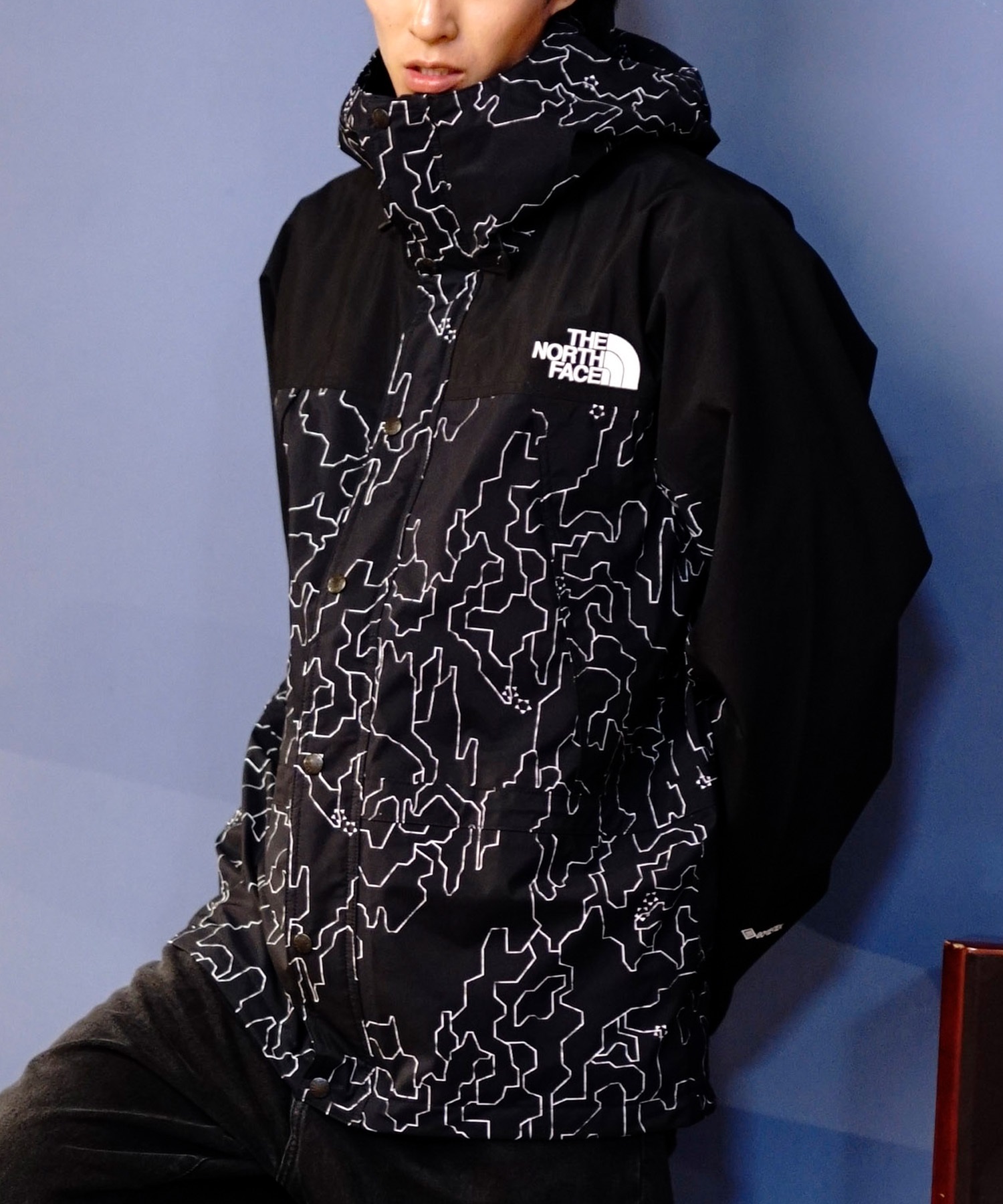 THE NORTH FACE ザ・ノース・フェイス アウター メンズ Novelty