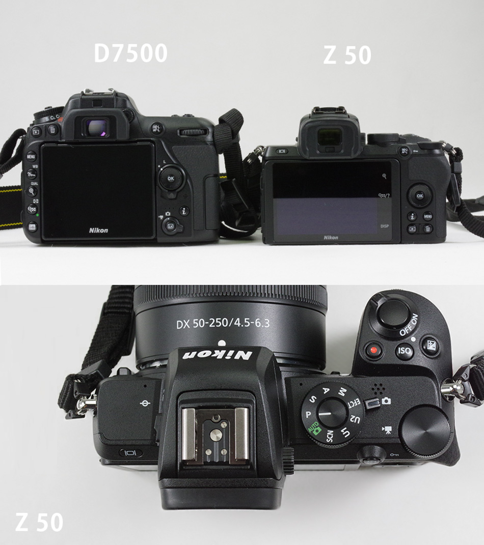 Nikon Z 50 実写レビュー！- 初めてのニコンミラーレス一眼カメラに挑戦 -