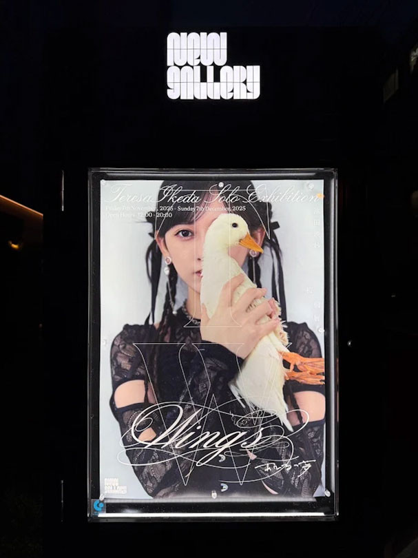 芸大生アーティストの乃木坂46・池田瑛紗、初個展『Wings:あひるの夢