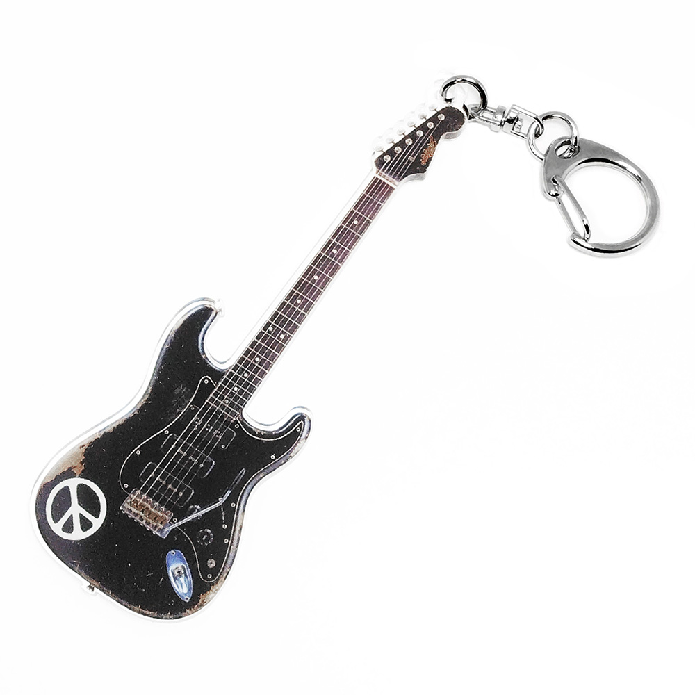 ESP AK-SGZ-06 Navigator N-ST SGZ Custom -DII- [アクリル
